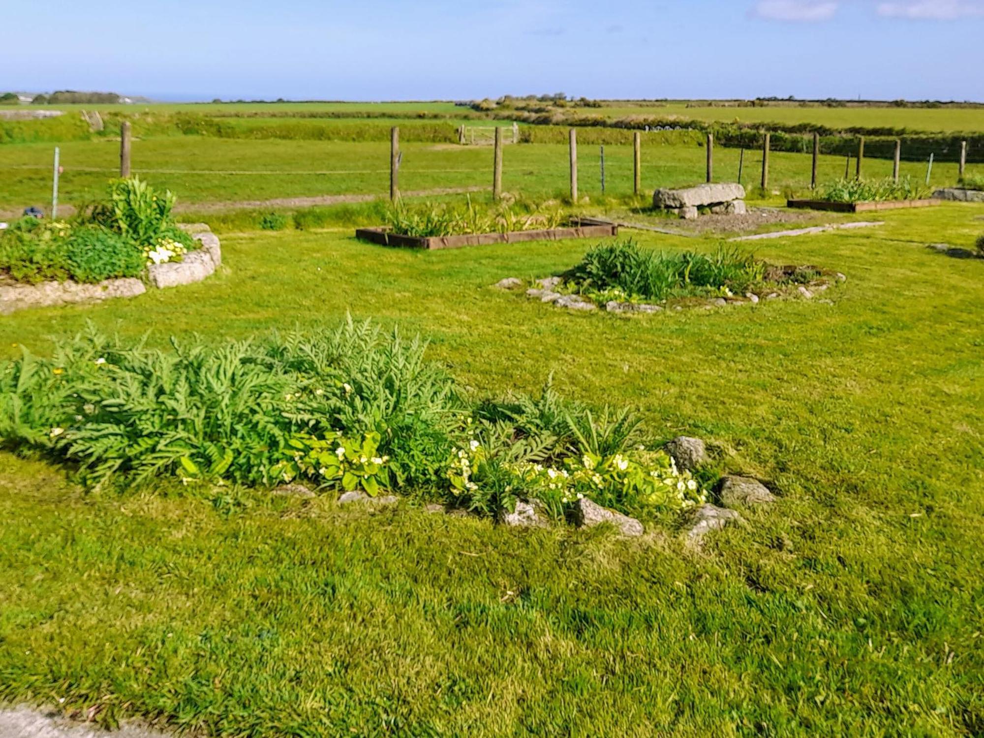 Ash Tree Cottage Carnbrea Exteriör bild